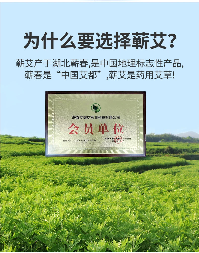 Beauty salon, full body hydrotherapy, moxibustion, meridian brushing, scraping therapy